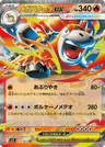Mega Camerupt ex
