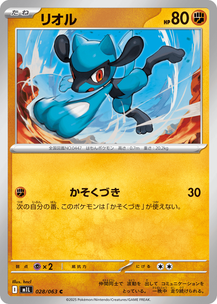 Riolu 28