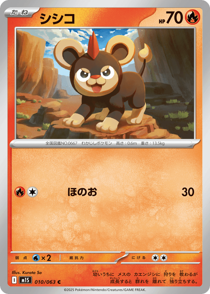 Litleo 10