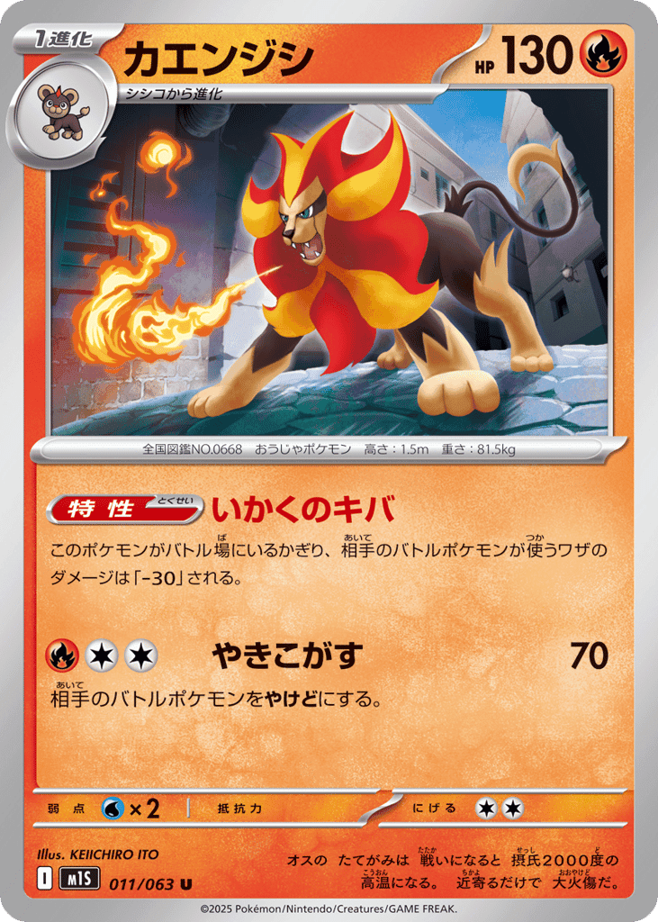 Pyroar 11
