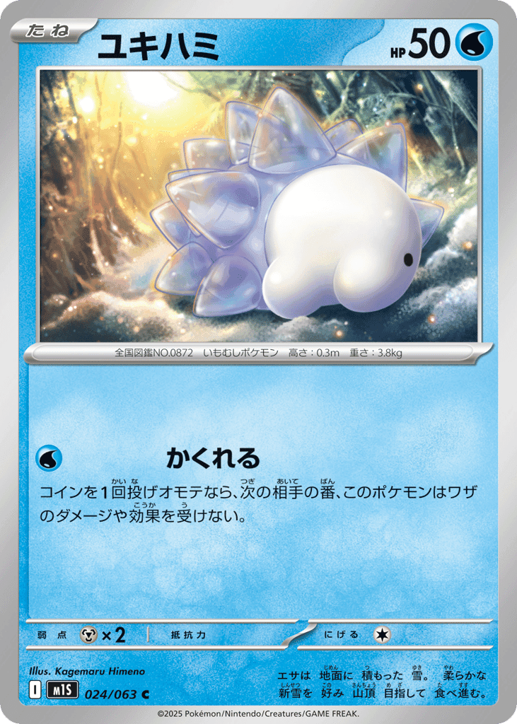 Snom 24