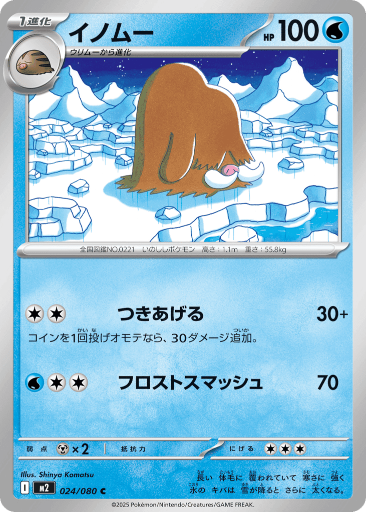 Piloswine 24