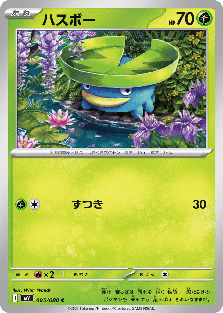 Lotad 5