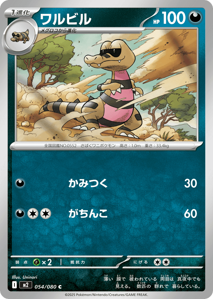 Krokorok 54