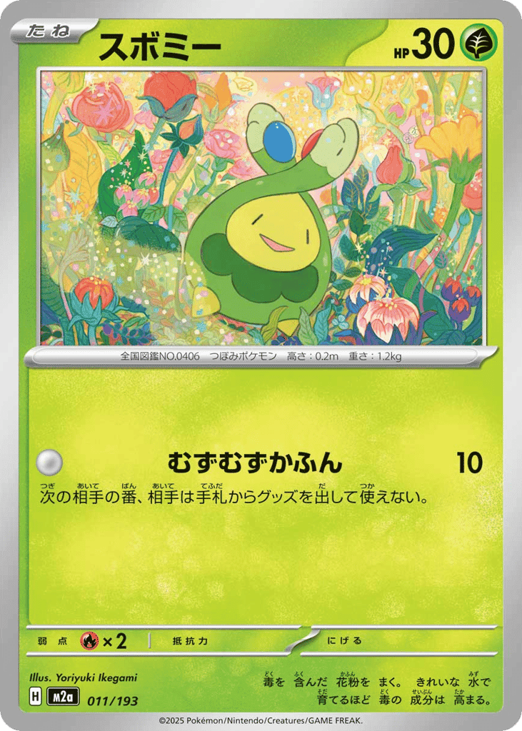 Budew 11