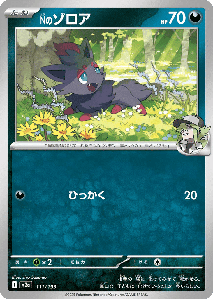 N's Zorua 111