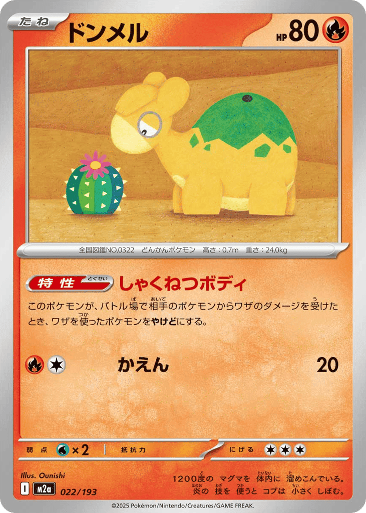Numel 22