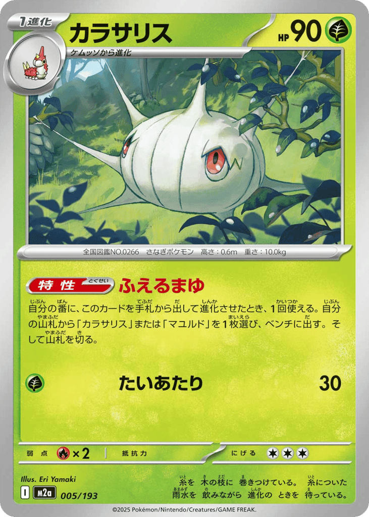Silcoon 5