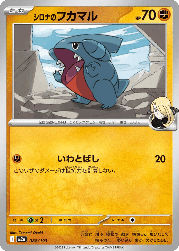 Cynthia's Gible 88