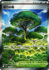 Forest of Vitality