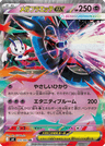 Mega Floette ex