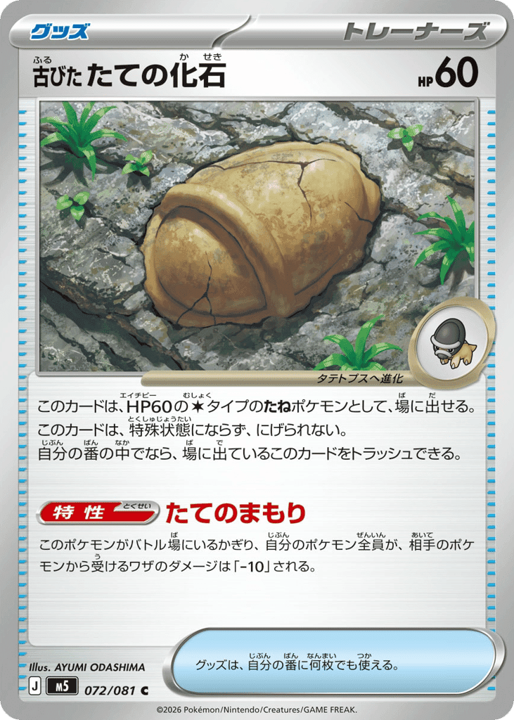 Antique Shield Fossil 72