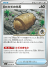 Antique Shield Fossil
