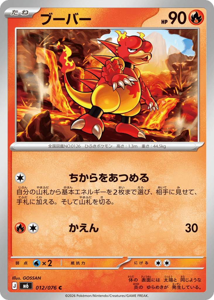 Magmar 12