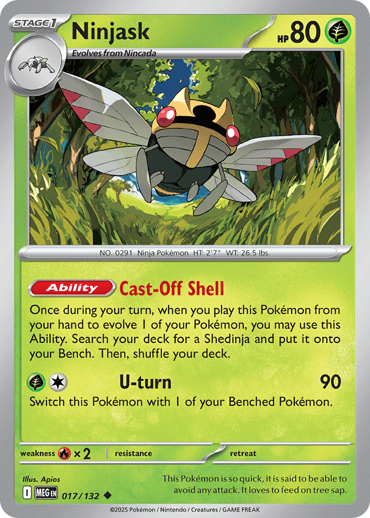 Ninjask 17