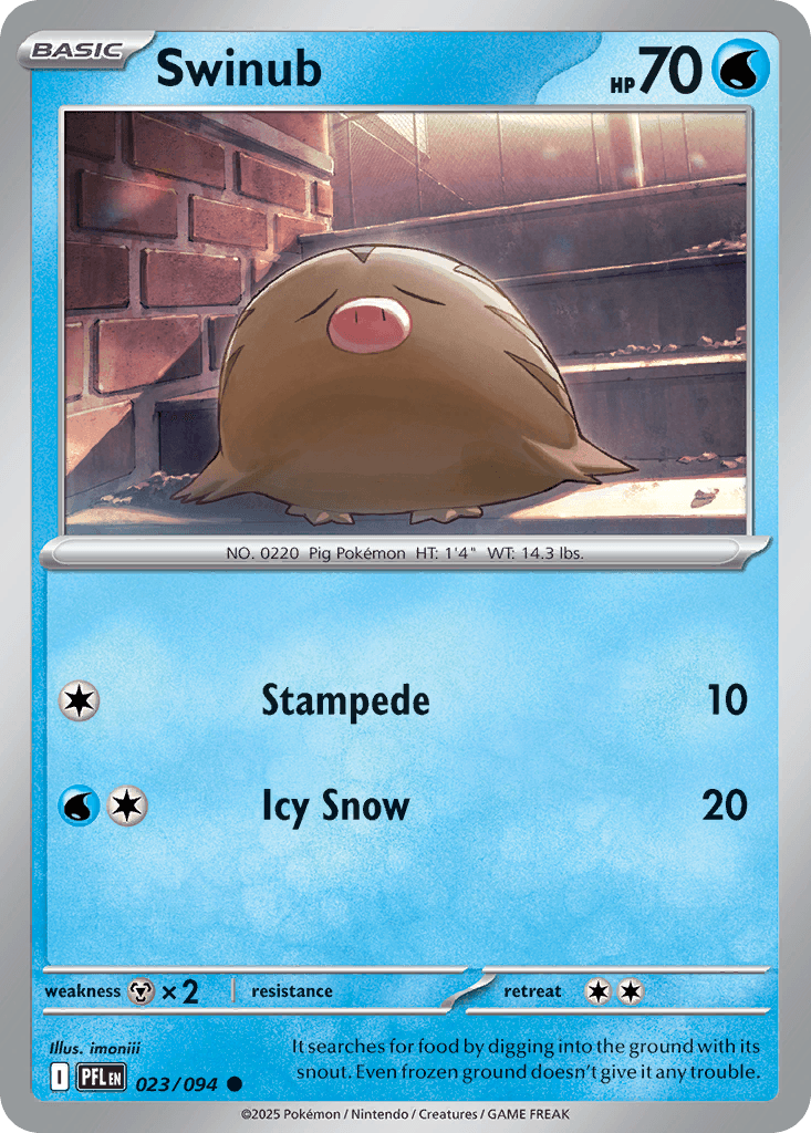 Swinub 23
