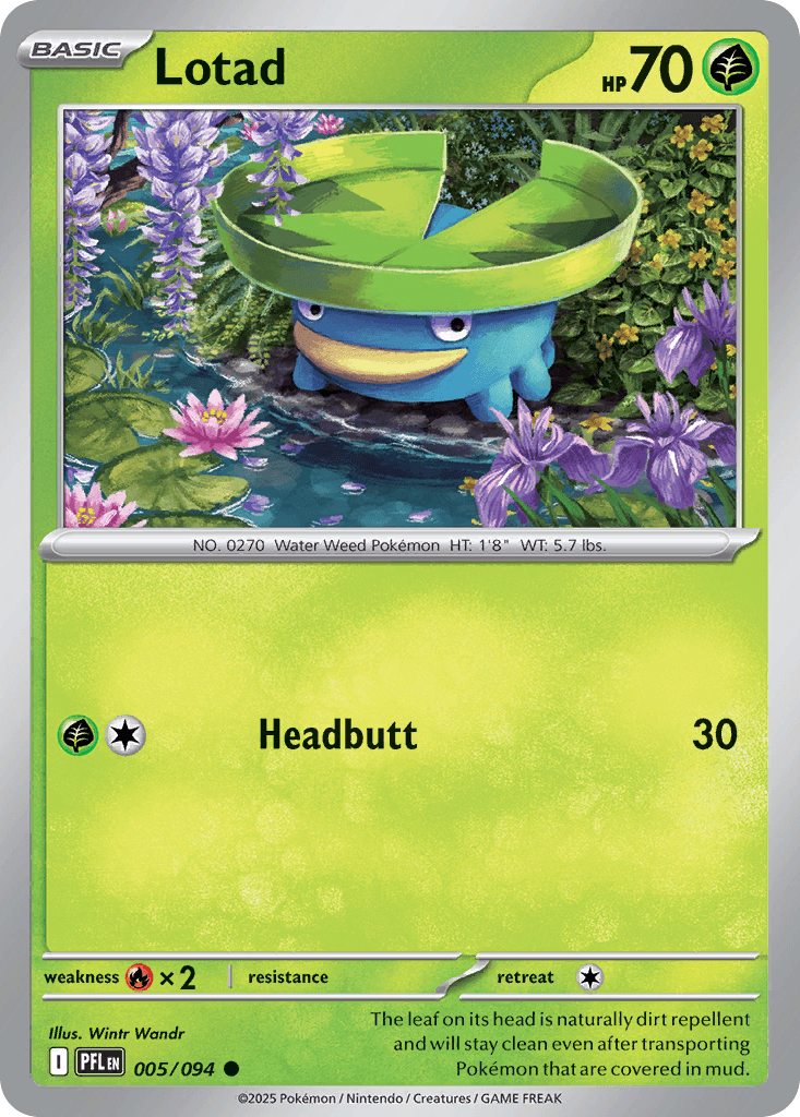 Lotad 5 — Mega Evolution: Phantasmal Flames