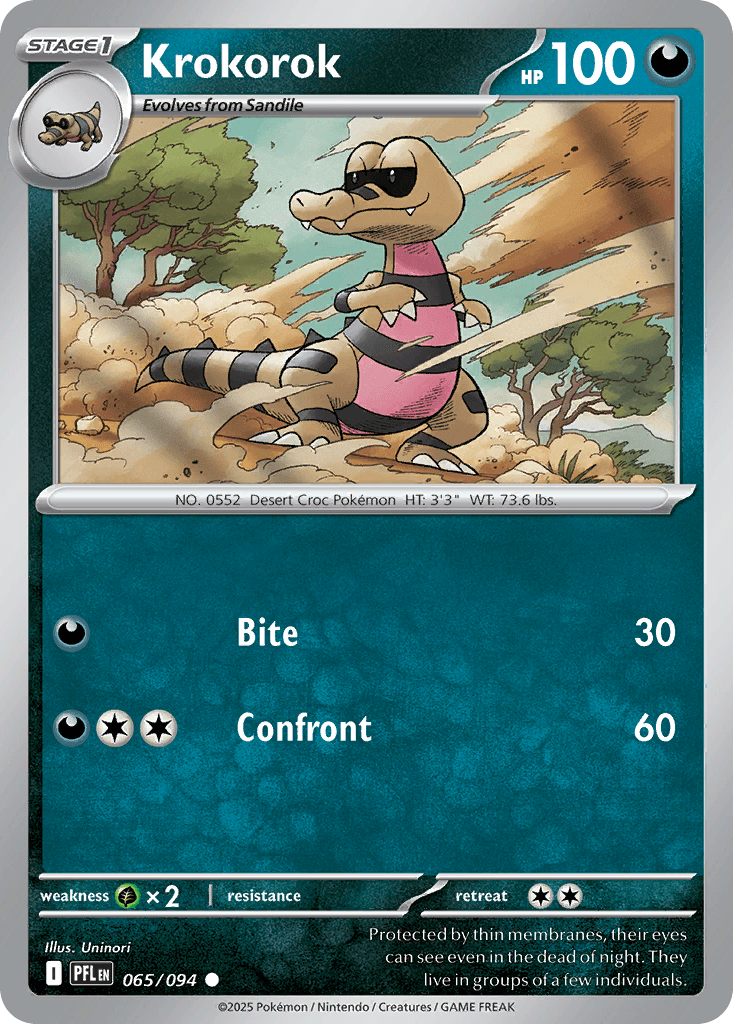 Krokorok 65
