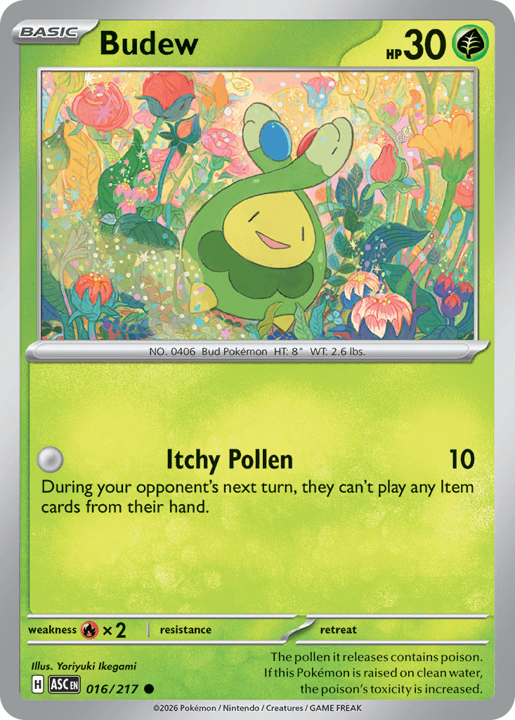 Budew 16
