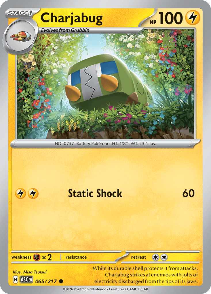 Charjabug 65