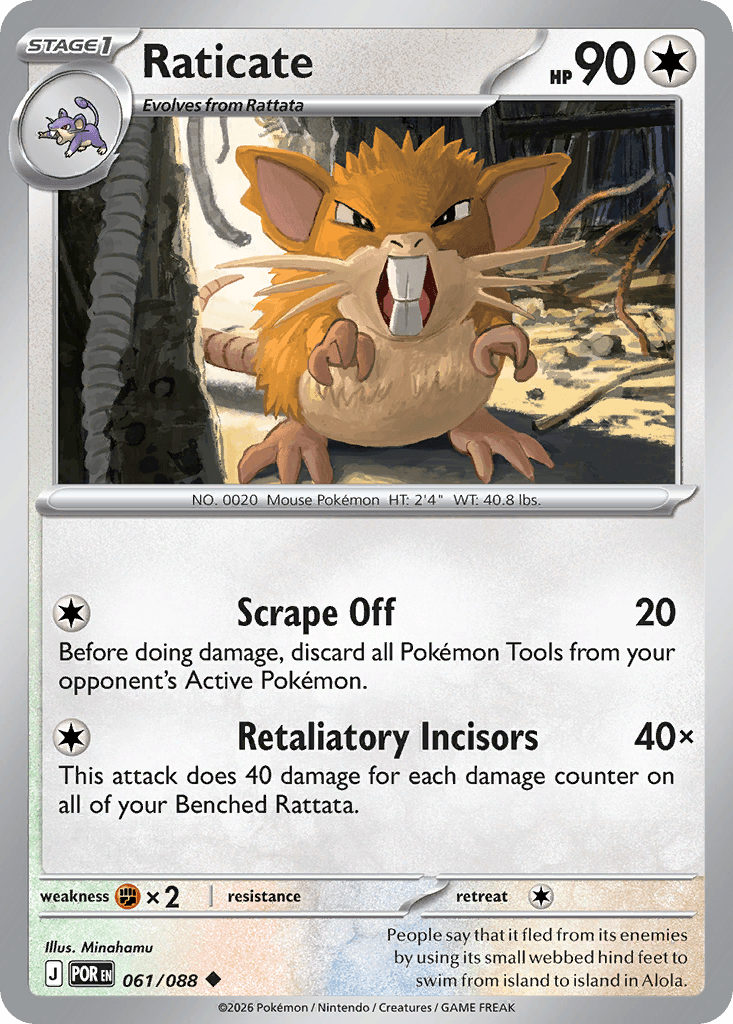 Raticate 61 — Perfect Order