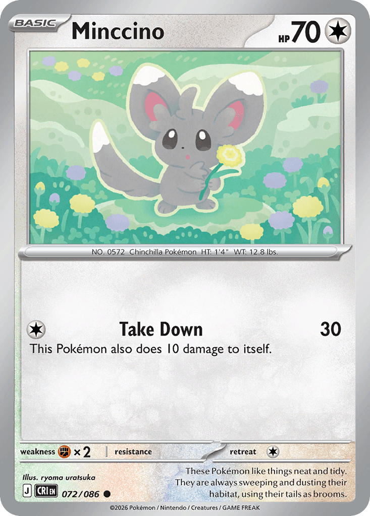 Minccino 72