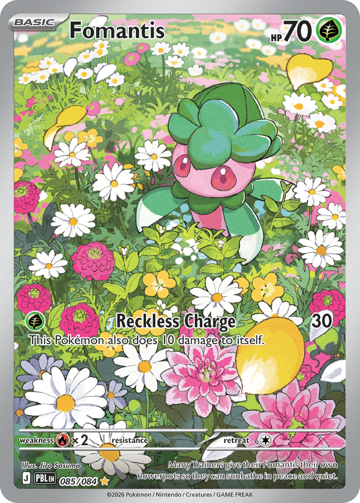 Fomantis 85