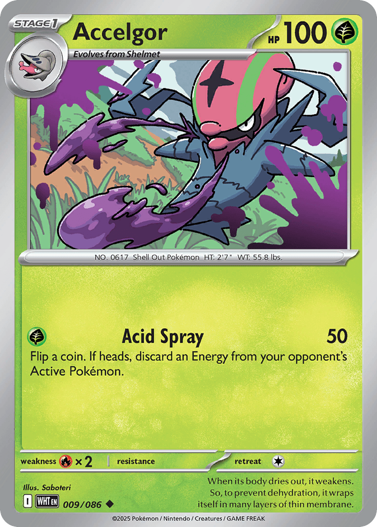 Accelgor 9