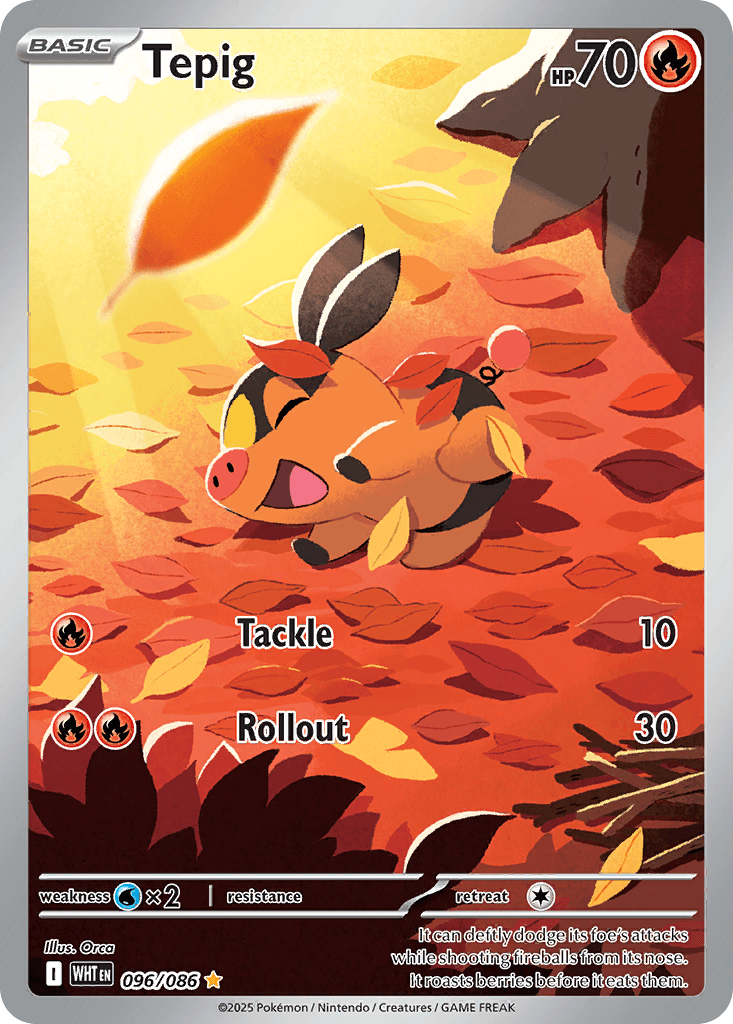 Tepig 96 — White Flare