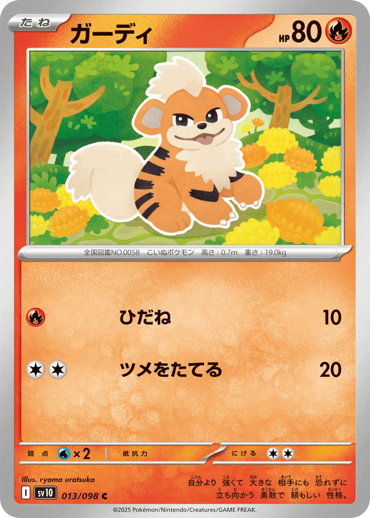 Growlithe 13