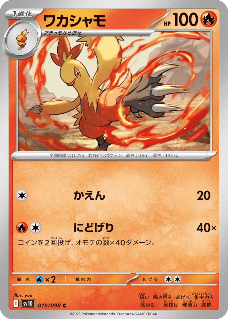 Combusken 19 — Glory of Team Rocket