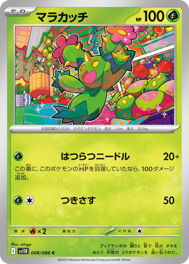 Maractus 8