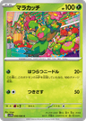Maractus
