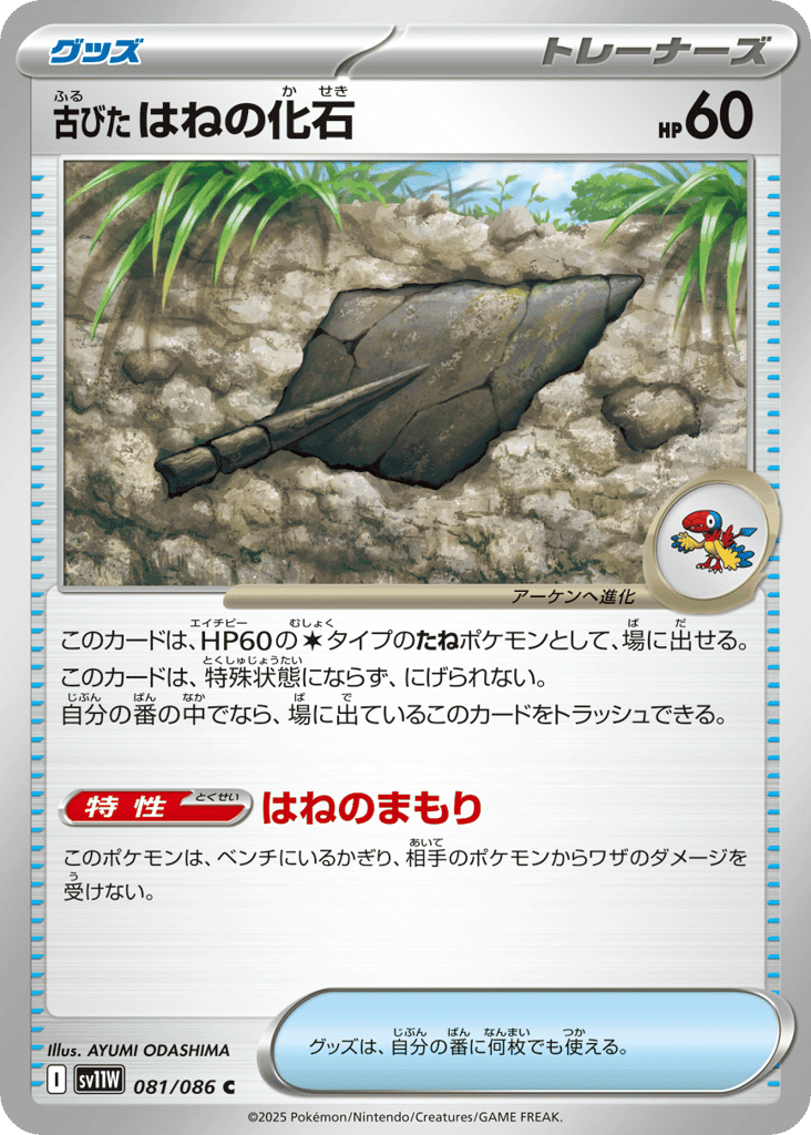 Antique Plume Fossil 81