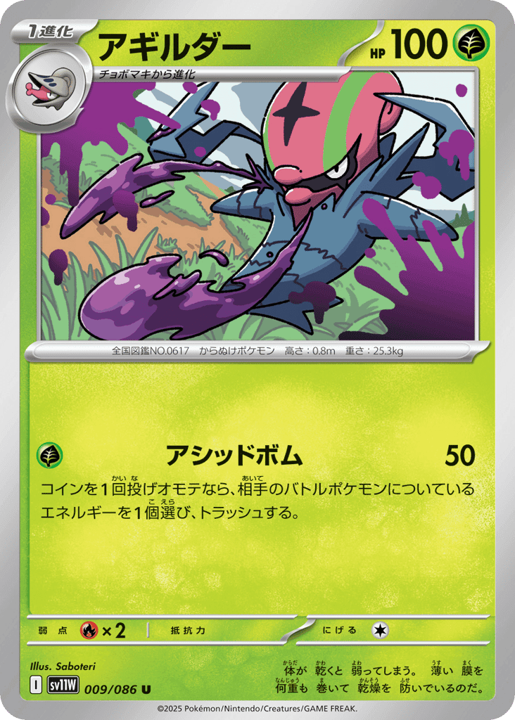 Accelgor 9