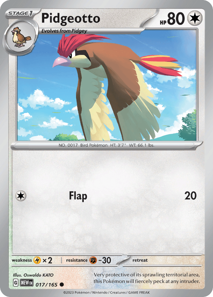 Pidgeotto 17