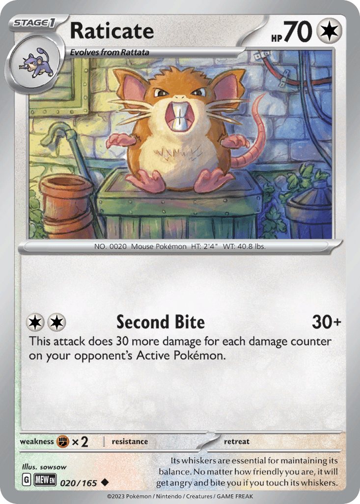 Raticate 20