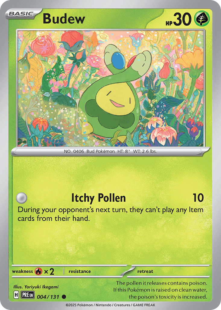 Budew 4