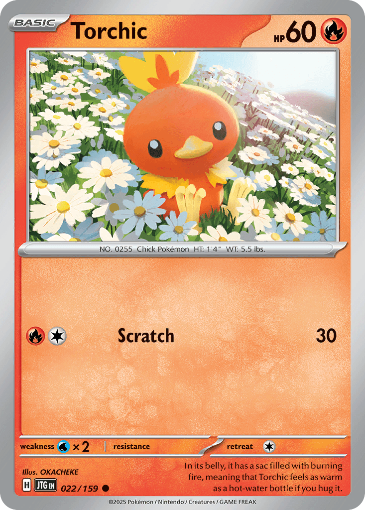 Torchic 22