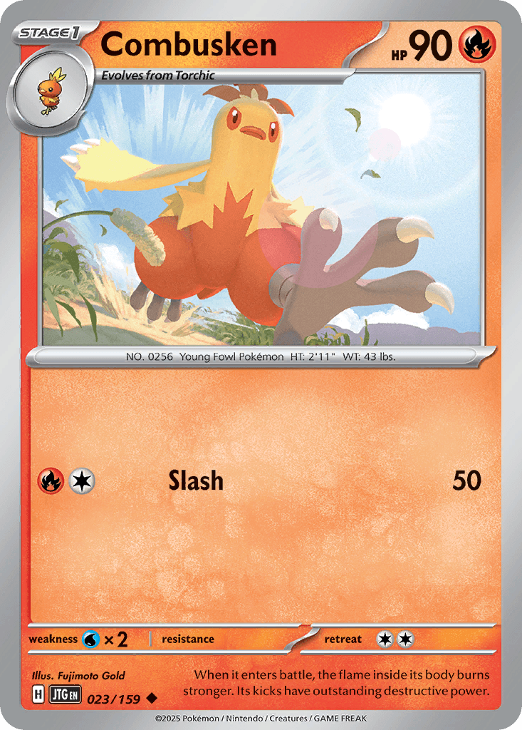 Combusken 23