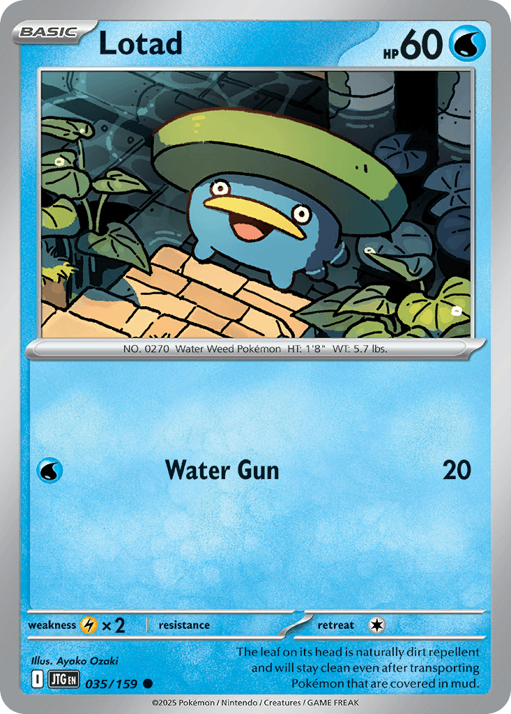 Lotad 35