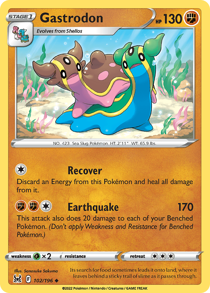 Gastrodon 102