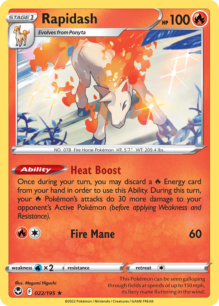Rapidash 22
