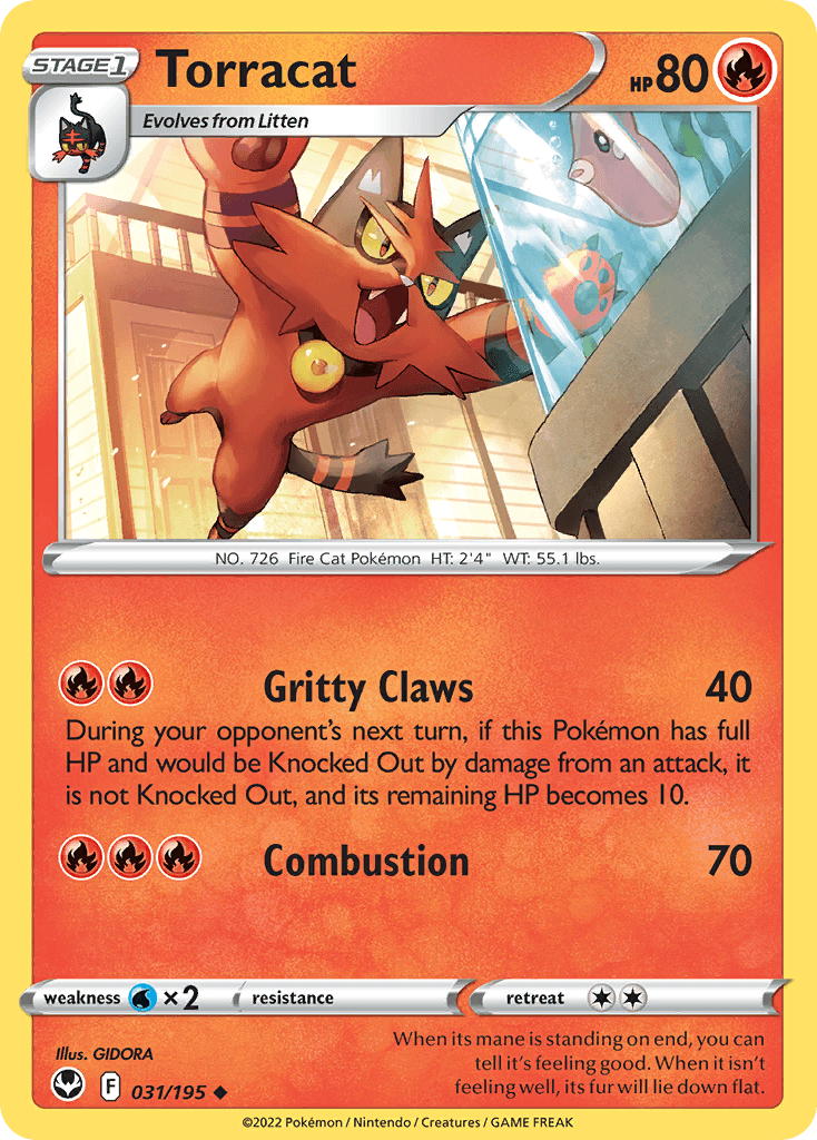 Torracat 31